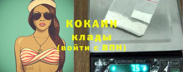 молекула духа Белокуриха